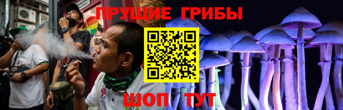 Галлюциногенные грибы Magic Shrooms Павловский Посад
